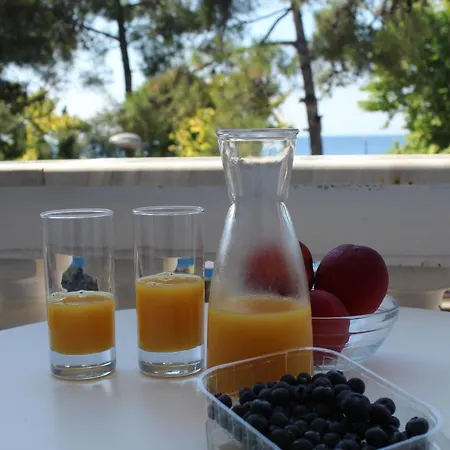 Apartment Alios Geron Blue Nea Plagia